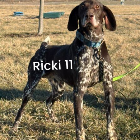 Ricki 11